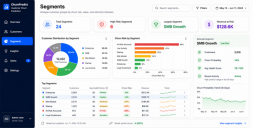 Customer Churn Prediction Software-