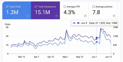 Search Console Result